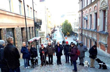 Stadsvandrare med ledarhundar på gata på Söder.